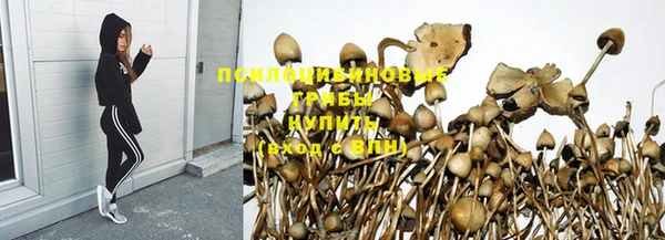 apvp Абаза