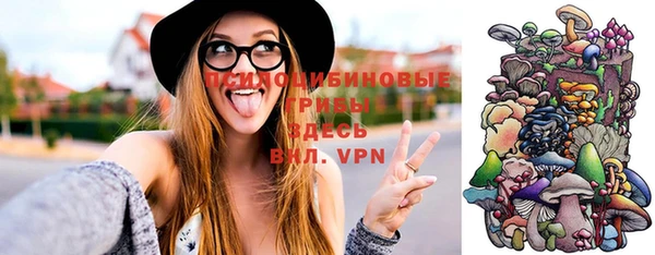 apvp Абаза